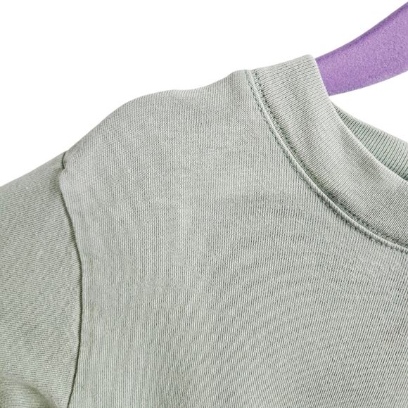 Big Fish Kids Size 4T T-Rex Attack Graphic Tee Shirt Sage Green Dinosaur Cotton - Picture 4 of 6